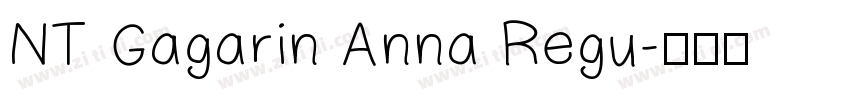 NT Gagarin Anna Regu字体转换